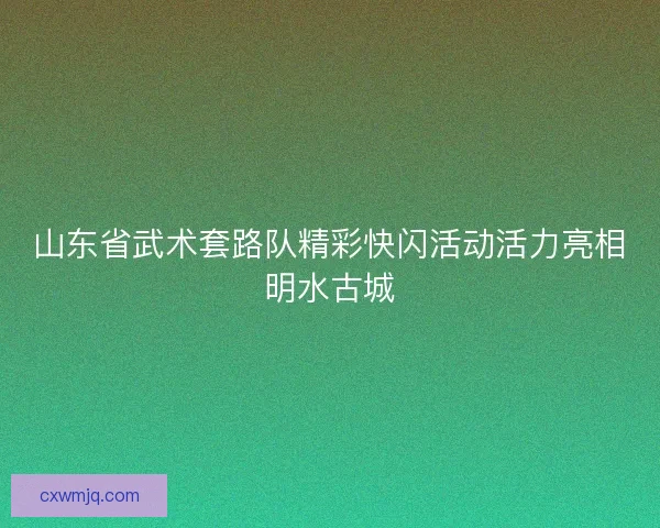 山东省武术套路队精彩快闪活动活力亮相明水古城