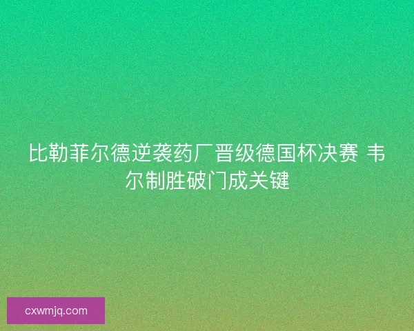 比勒菲尔德逆袭药厂晋级德国杯决赛 韦尔制胜破门成关键